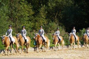 WhatsApp Image 2025-08-20 at 20.25.44