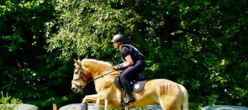 WhatsApp Image 2025-08-20 at 20.34.53