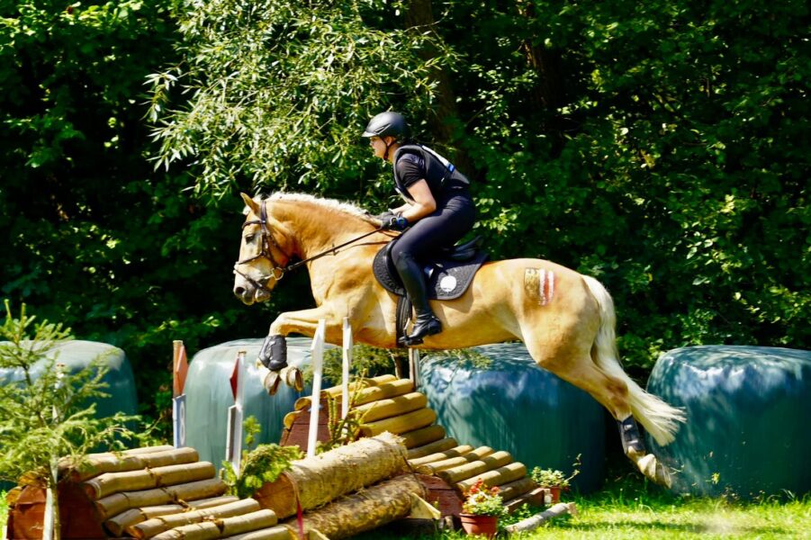 WhatsApp Image 2025-08-20 at 20.34.53