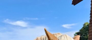 WhatsApp Image 2025-08-28 at 12.02.01