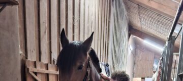 WhatsApp Image 2025-10-13 at 19.48.19 (1)