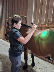 WhatsApp Image 2025-10-13 at 19.48.20 (3)