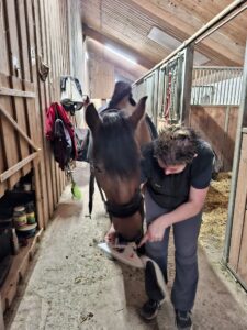 WhatsApp Image 2025-10-13 at 19.48.20 (4)