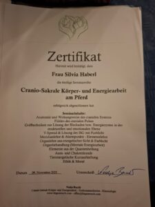 WhatsApp Image 2025-11-09 at 19.29.51